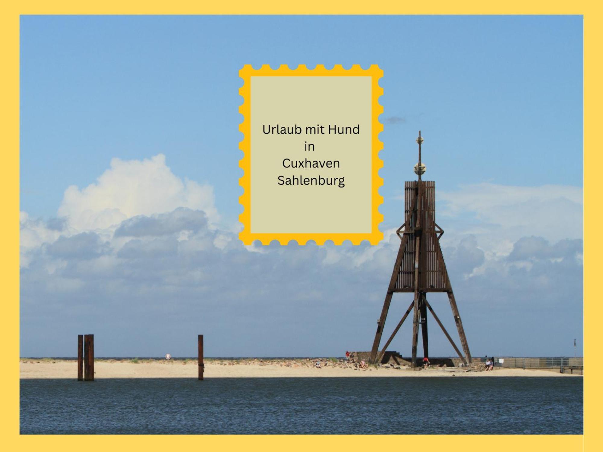 Strandloft Cuxhaven Im Haus Frauenpreiss Sahlenburg - Strandnah - 2 Hunde Willkommen -Schwimmbad - Sauna - Direkt Am Wald - Dachterrasse Mit Blick Nach Neuwerk 외부 사진