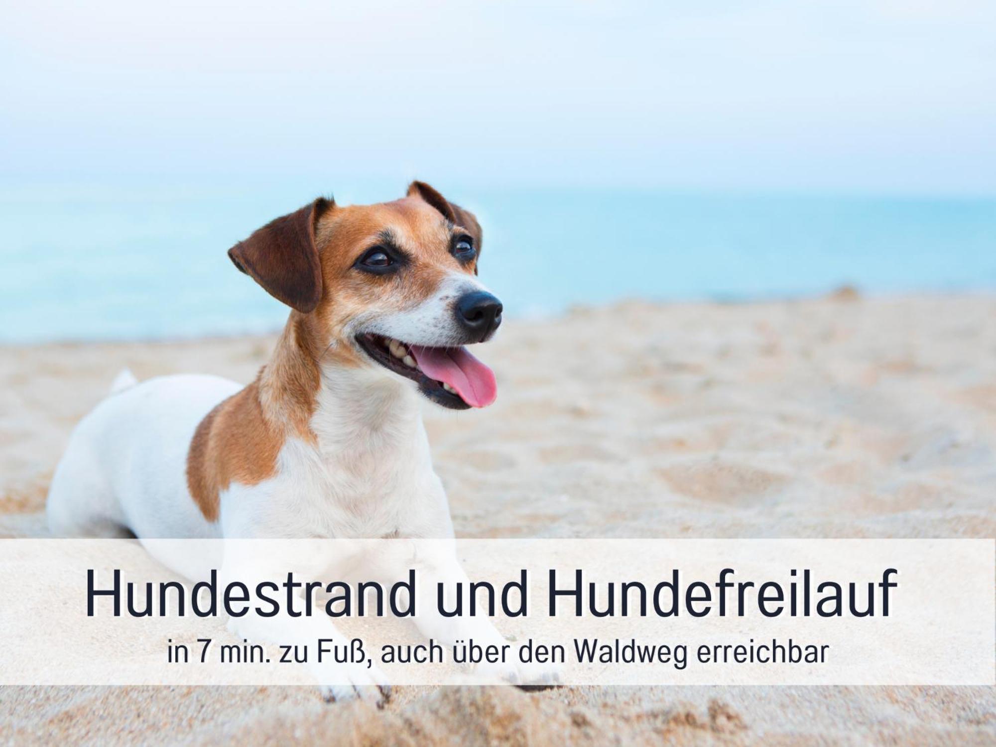 Strandloft Cuxhaven Im Haus Frauenpreiss Sahlenburg - Strandnah - 2 Hunde Willkommen -Schwimmbad - Sauna - Direkt Am Wald - Dachterrasse Mit Blick Nach Neuwerk 외부 사진